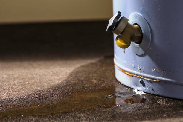 Best 24/7 water damage repair  in Kechi, KS