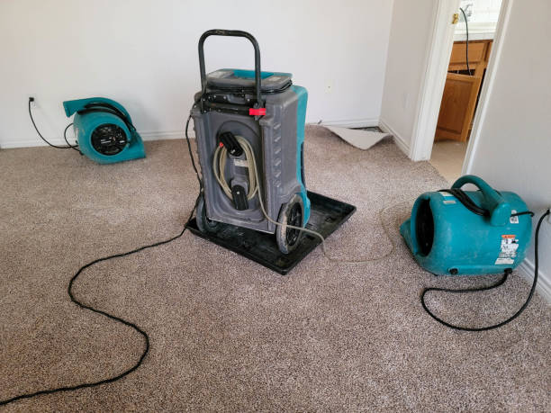 Best Professional water damage repair  in Kechi, KS