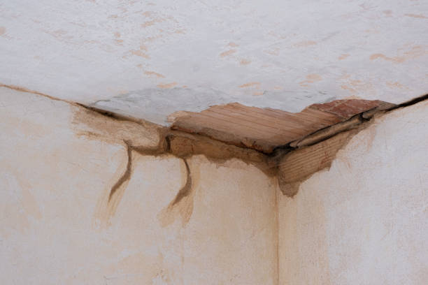Best Water damage restoration near me  in Kechi, KS