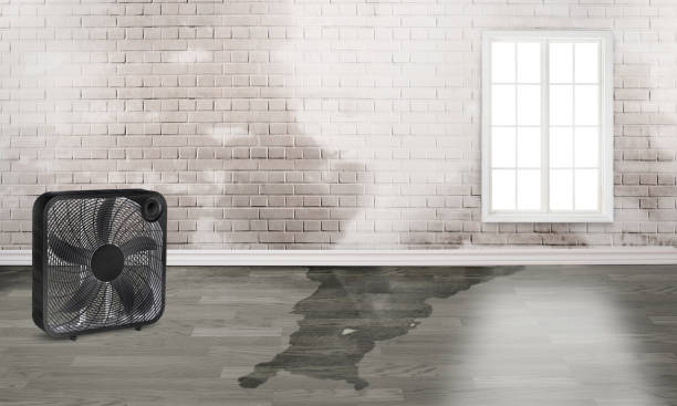 Best 24-hour water damage restoration  in Kechi, KS