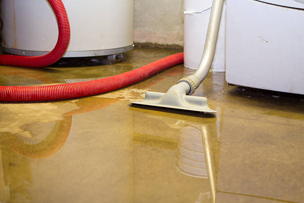 Best Sewage cleanup and water damage restoration  in Kechi, KS