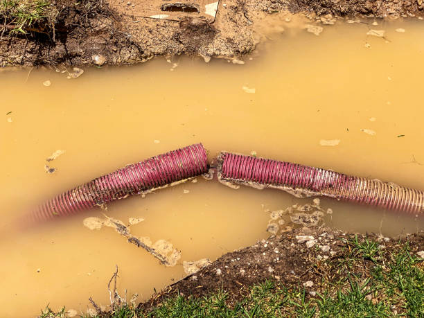 Best Water damage restoration near me  in Kechi, KS